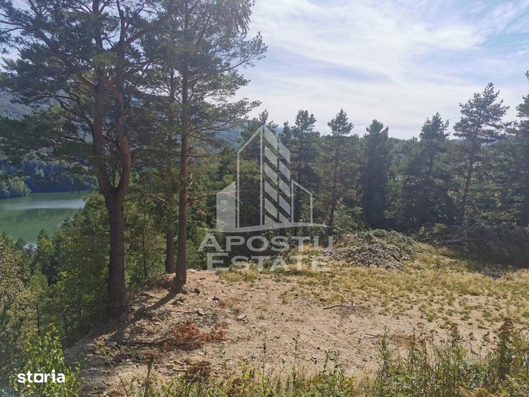 Teren intravilan, 2000mp, cu vedere panoramica spre lacul Valiug - 4
