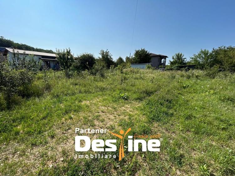 Teren Intravilan - Hlincea (Ciurea) 1000Mp - 4