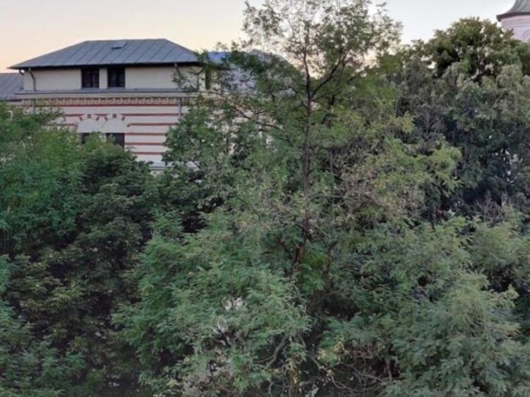 APARTAMENT 3 CAMERE SPLAIUL UNIRII-CAMERA DE COMERT - 10