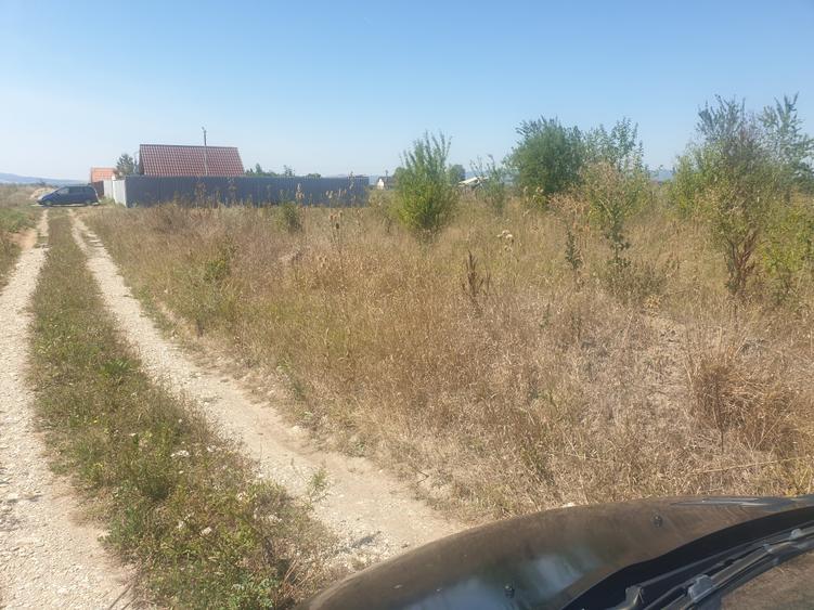 Teren Sanpetru intravilan acces din DJ - 4