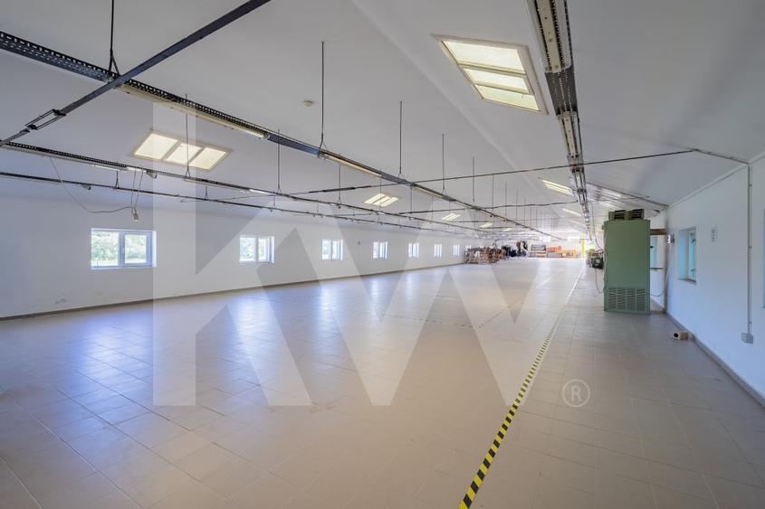 Hala industriala | productie | depozitare | cantina | 826mp | Sebes - 1