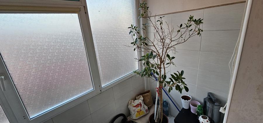 ANDA, 2 camere decomandat - 10