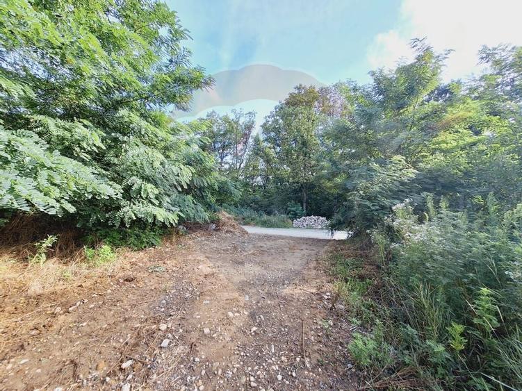 Teren 3,219mp Hidiselu de Sus / Strada Principala - 5