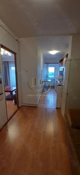 De inchiriat apartament 1 camera, 42 mp, zona semicentrala, aproape de USAMV - 4