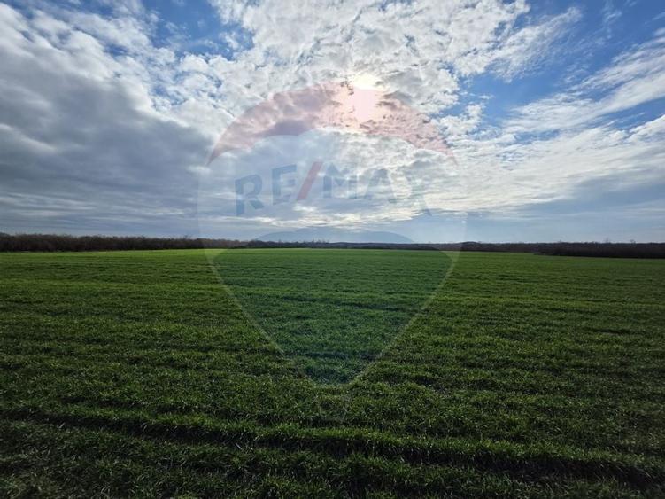 Vânzare teren agricol 12 ha, Giarmata - Jud. Timiș - 2