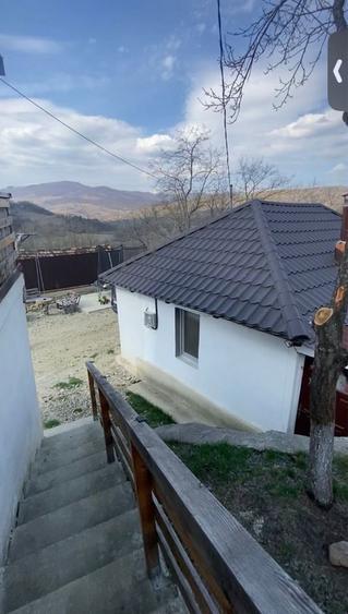 Casa in com. Cozieni,satul Trestia,stiuata la 160 m de strada. - 8