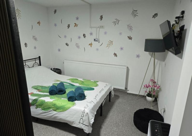 De inchiriat apartament 1 camera complet mobilat Centrul Istoric - 5