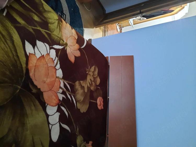 Ofer spre inchiriere apartament 2 camere, decomandat, mobilat, utilat, etaj 1, zona Craiovei - 4