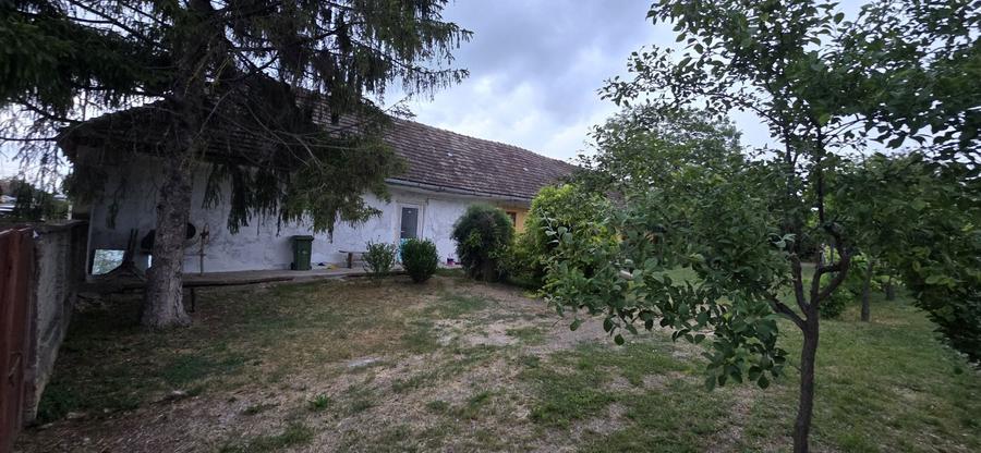 Apartament sau casa - 1