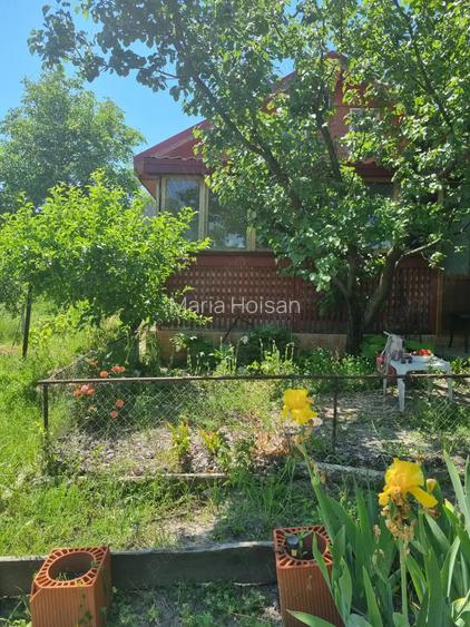 Vand casa cu teren 2093 mp Murgesti Buzau Vand casa cu teren 2093 mp Murgesti Buzau