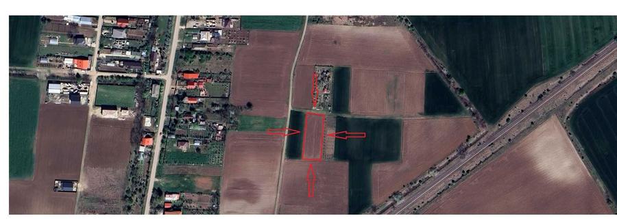 Teren Intravilan 1500mp Super Oferta Caciulati Balotesti - 3