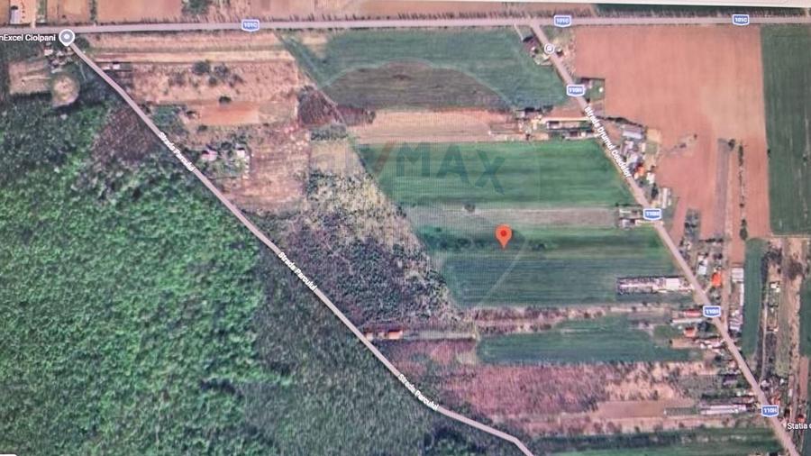 Teren 704 mp Silistea Snagovului vecinatate Padurea Snagov - 5