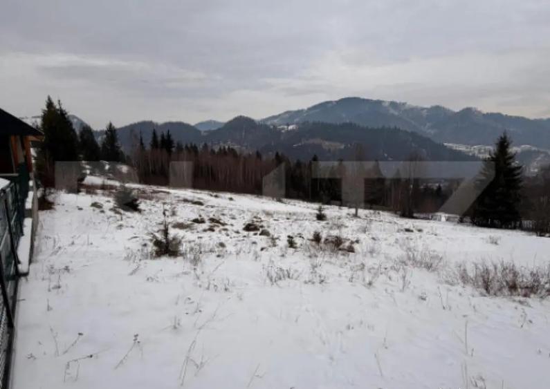 Eren intravilan 10746 mp, front 58 ml, localitatea Pojorata - 3