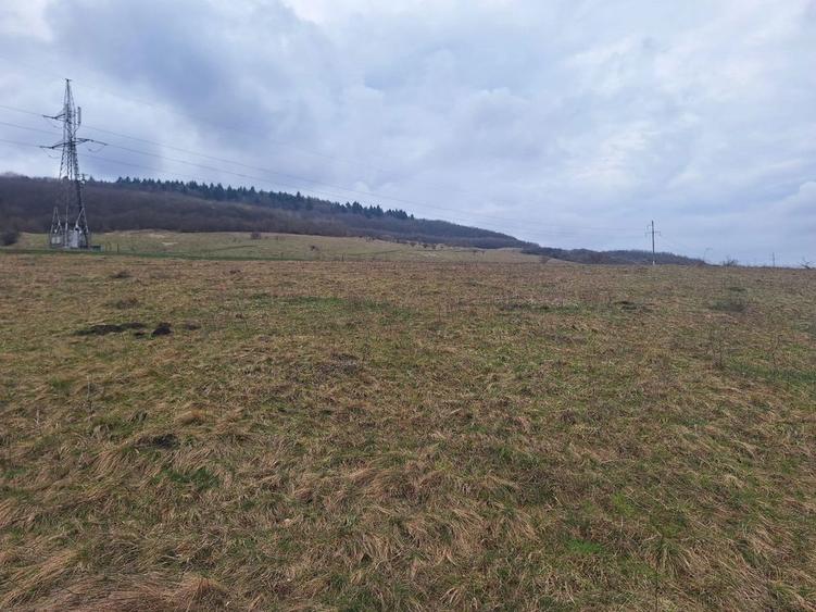 Teren de vanzare-zona industriala - 3