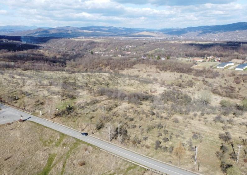 Teren Extravilan Valenii de Munte 11931 mp - 5