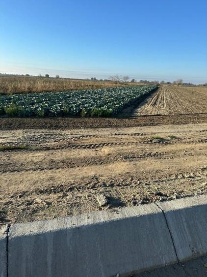 Vând teren extravilan, 4723 mp, situat la 30 km de București. - 1