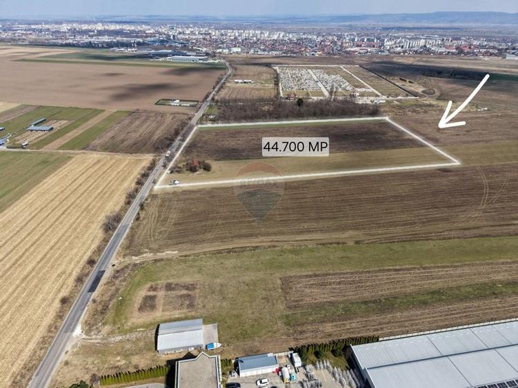 Teren intravilan de inchiriat 44700 mp langa centura Bacaului - 3