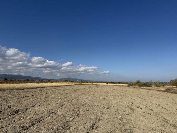 Teren extravilan Campineanca ( la iesire spre Carligele)3000 mp - 1