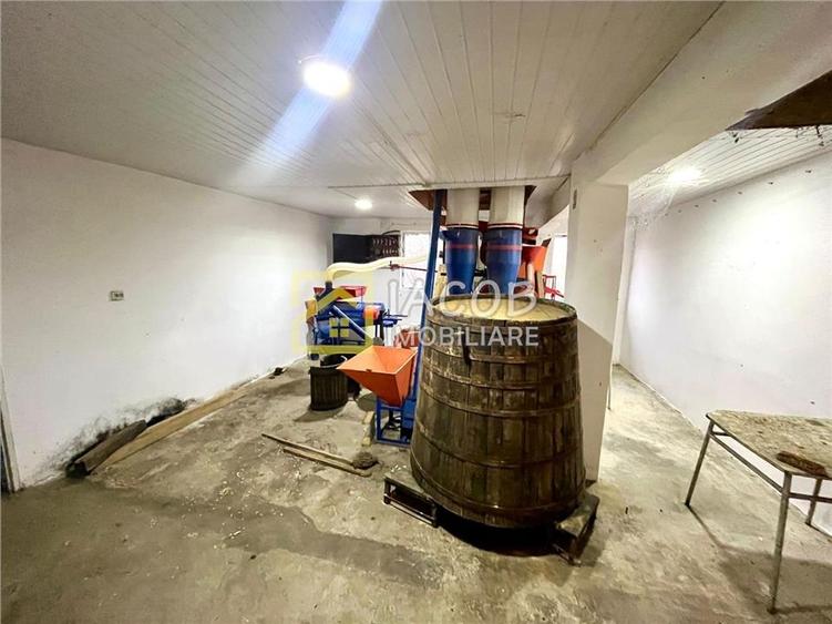 Spatiu productie (fosta moara) cu anexe, Buhoci, Bacau - 6