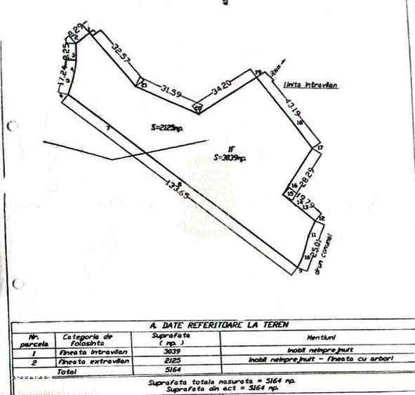 Teren 5164 mp-ideal pensiune, cabane, restaurant-30 m de Lac Colibita - 2