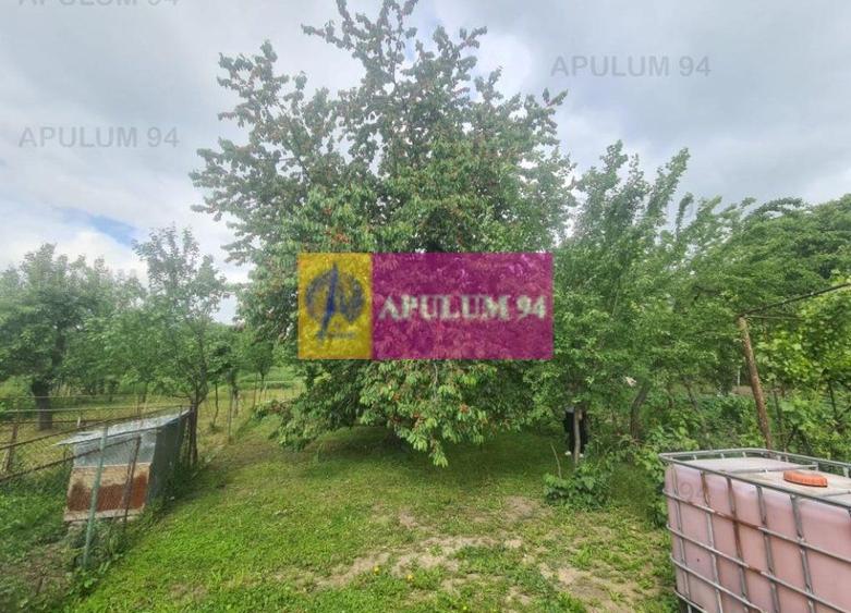 Casă de v&acirc;nzare &icirc;n Bănești - 18