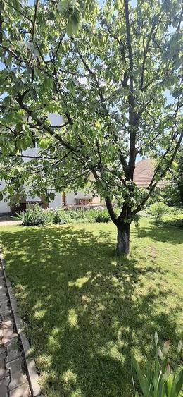 Proprietar vand casa in Valea Lupului pozi?ie excelenta, gradina superba ?i poten?ial comercial - 1