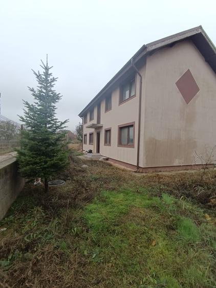 Bragadiru Clinceni - 2