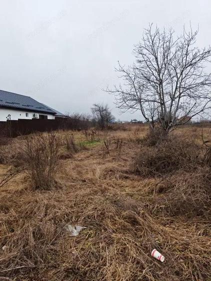 Teren pentru investitii in Izvoare - 1