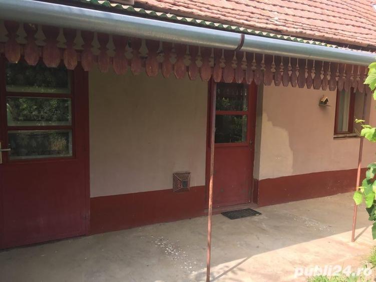 Casă cu 3 camere cu Teren 2538 Mp în Salonta