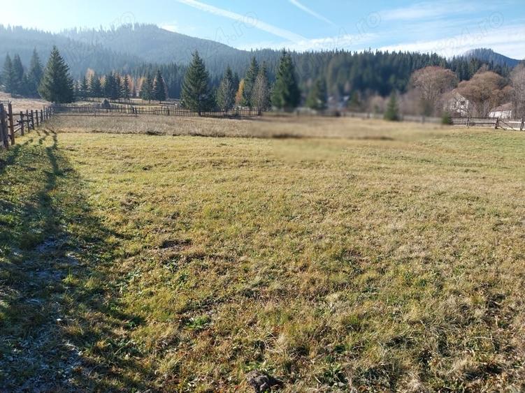 Teren de 6529 mp, în Valea Stânei