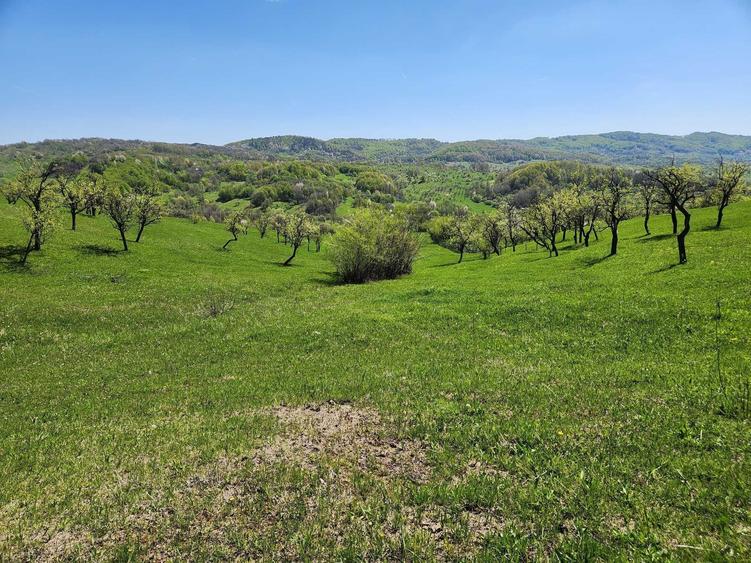 Vand teren 16000 mp intravilan/extravilan in zona Valenii de Munte jud. Prahova - 2