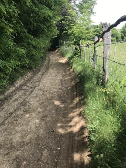 Vand teren in Albestii de Muscel faneata-pasune, partial impadurit - 9