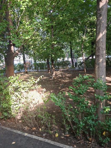 Apartament 2 camere, 58 mp, 3 min Metrou Piata Sudului- Sun Plaza - 20