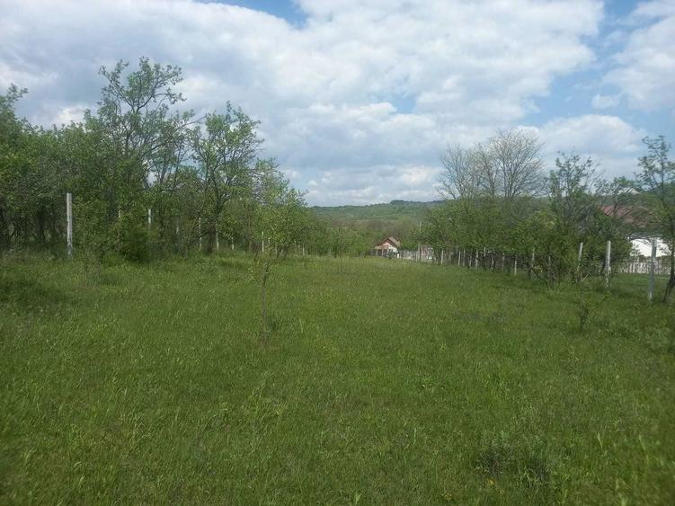 Teren intravilan 1700 mp - Drajna de Jos, Poiana Mierlei 15/mp, neg - 6