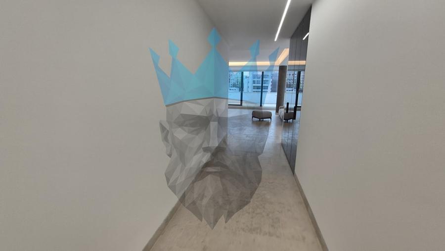 Penthouse 4 Camere Kiseleff Bucuresti - 24