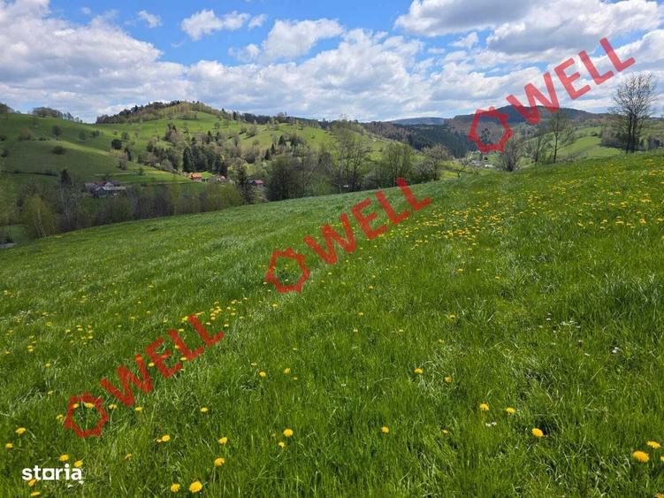 Doua terenuri extravilane de vanzare in Sita Buzaului Ciumernic! - 10