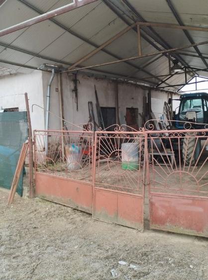 Casa Sumugiu jud Bihor - 5