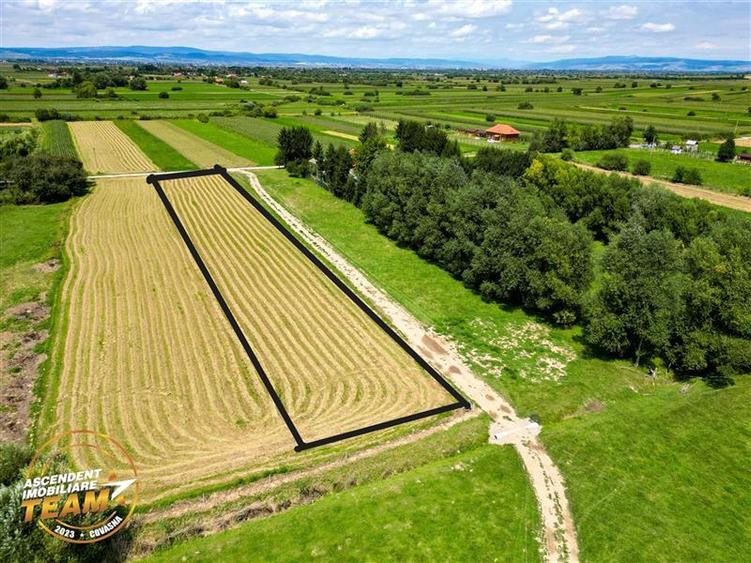 Teren intravilan,2.900mp,recomandat: investitional/ rezidential/constructii,Lunc - 4