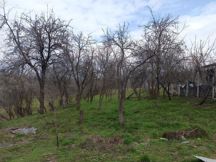 Casa 3 Camere Mihaiesti sat Vacarea Jud Arges - 2