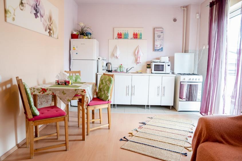 Vânzare apartament 2 camere, 42 mp, vedere Casa Presei, Damaroaia - 3