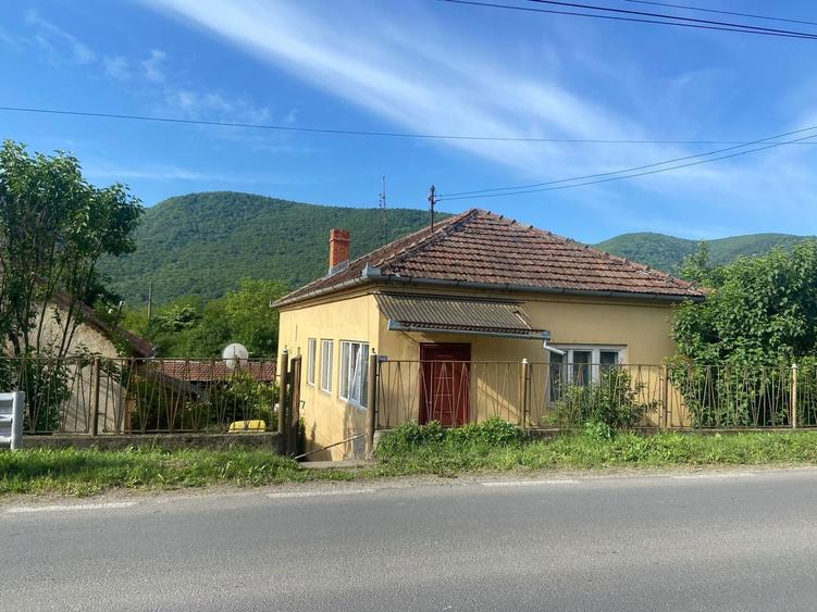 Casa de vanzare la tara, cu anexe si priveliste superba ideala pentr - 5