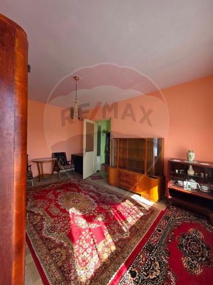 Apartament doua camere Gura Campului Medias - 9