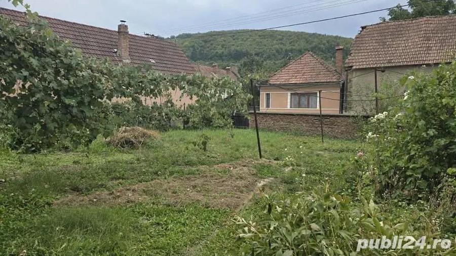 Casa 4 camere, anexe ?i gradina in centrul comunei Teliu - 2
