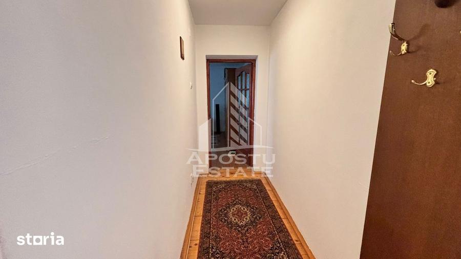 Oportunitate investitie 3 SAD-uri si casa, Timisoara, zona Sagului - 5