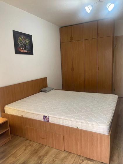 brancoveanu alunisului vultureni - 4