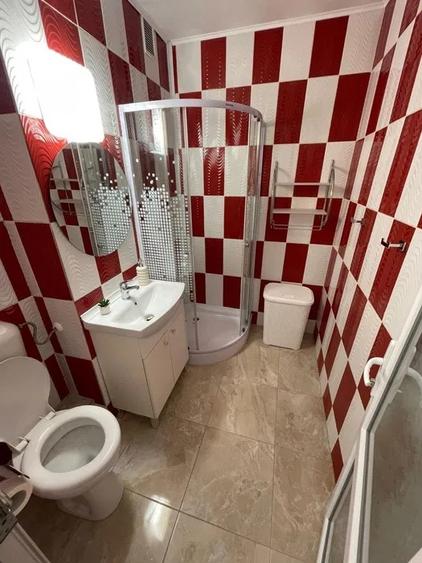 Apartament cu 1 camera, etajul 1, zona Podu de Piatra - 6