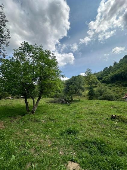 Teren 2 hectare pe Valea Ariesului, zona Scarita-Belioara, pret oportun 2 Eur/mp - 7