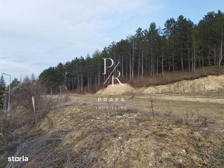 Teren 1100 mp toate utilitatile, incadrat in zona verde- Colina! - 1
