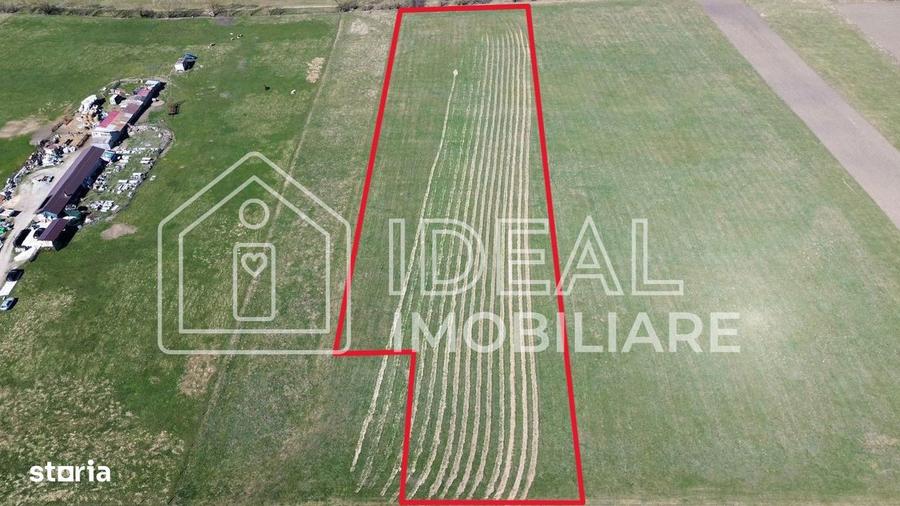 Teren 8.782 mp | 2 parcele alipite | Calea Cisnadiei zona Sevi? - 2