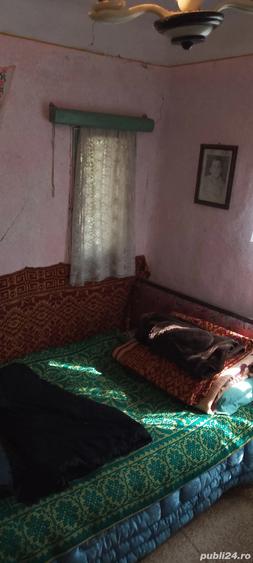 Casa la ?ara jud. Giurgiu, 4 camere, curte 4000 mp - 8